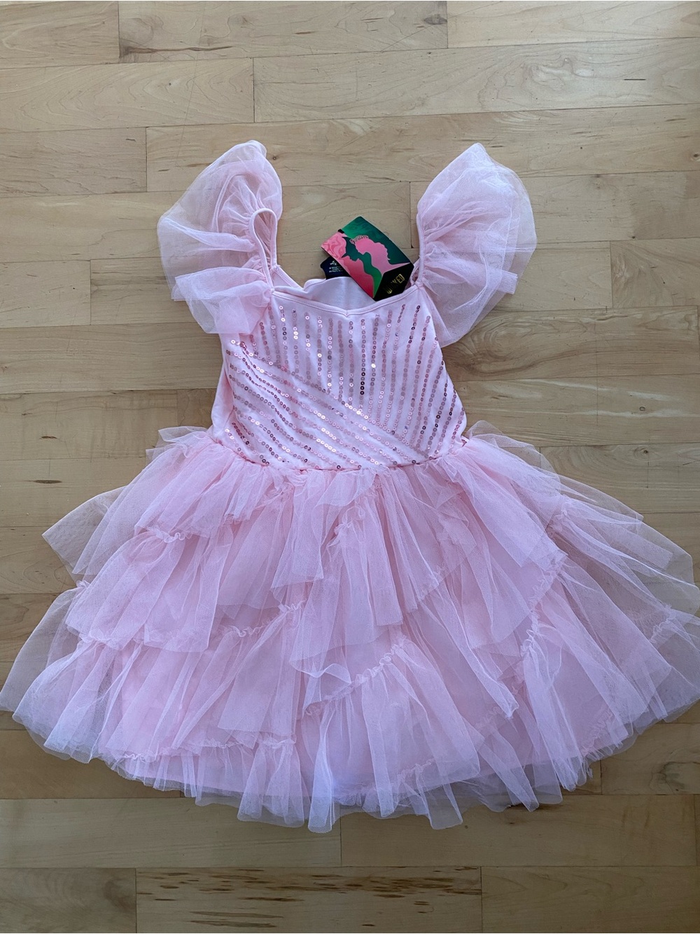 Wicked Girls Pink Sequin Tulle Dance Costume Dress